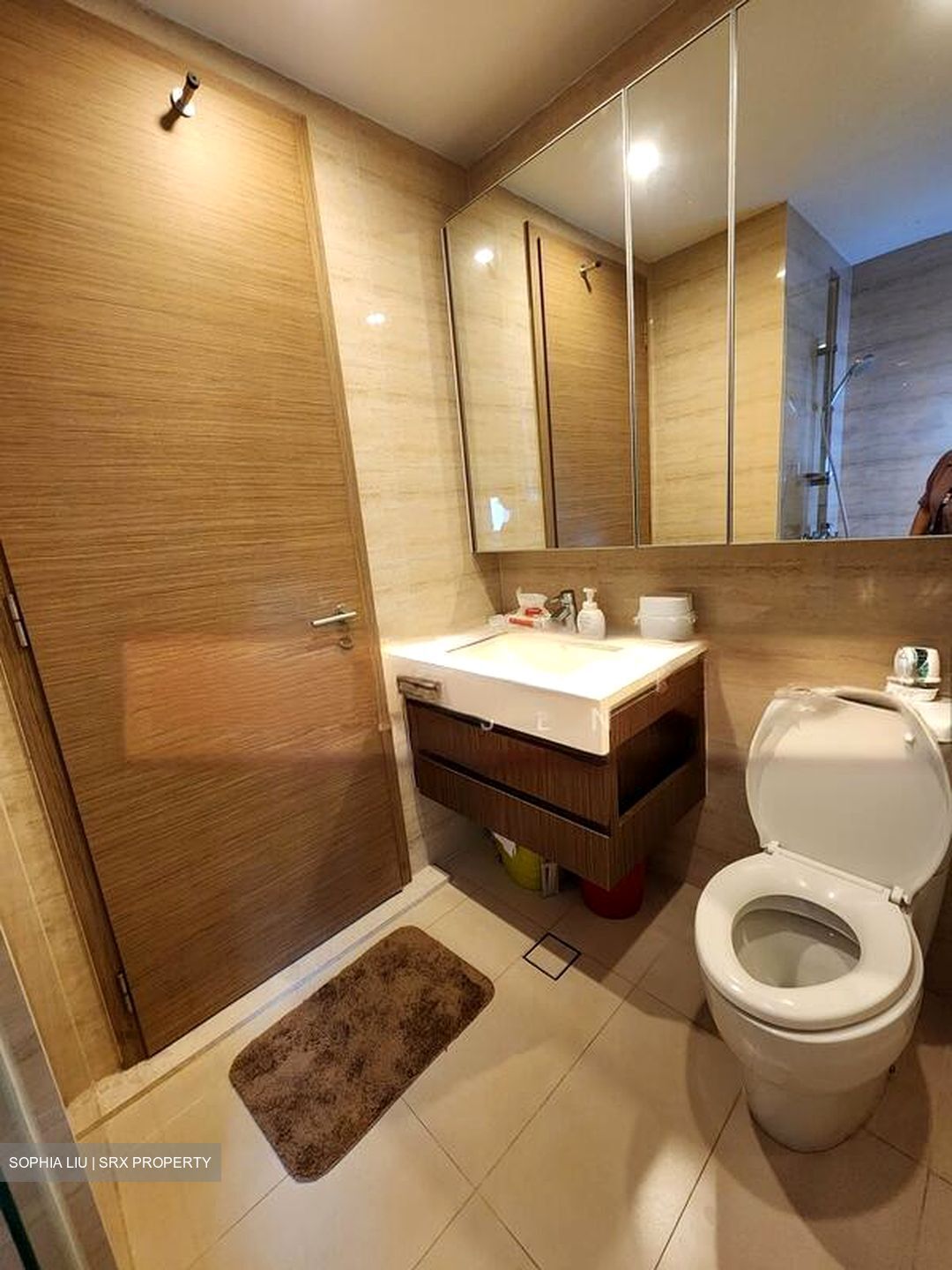 The Palette (D18), Condominium #504143281